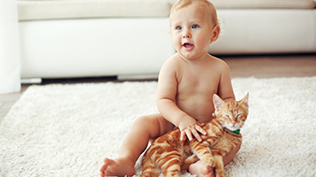 Genitori + Bambini + animali + bebè + gatti